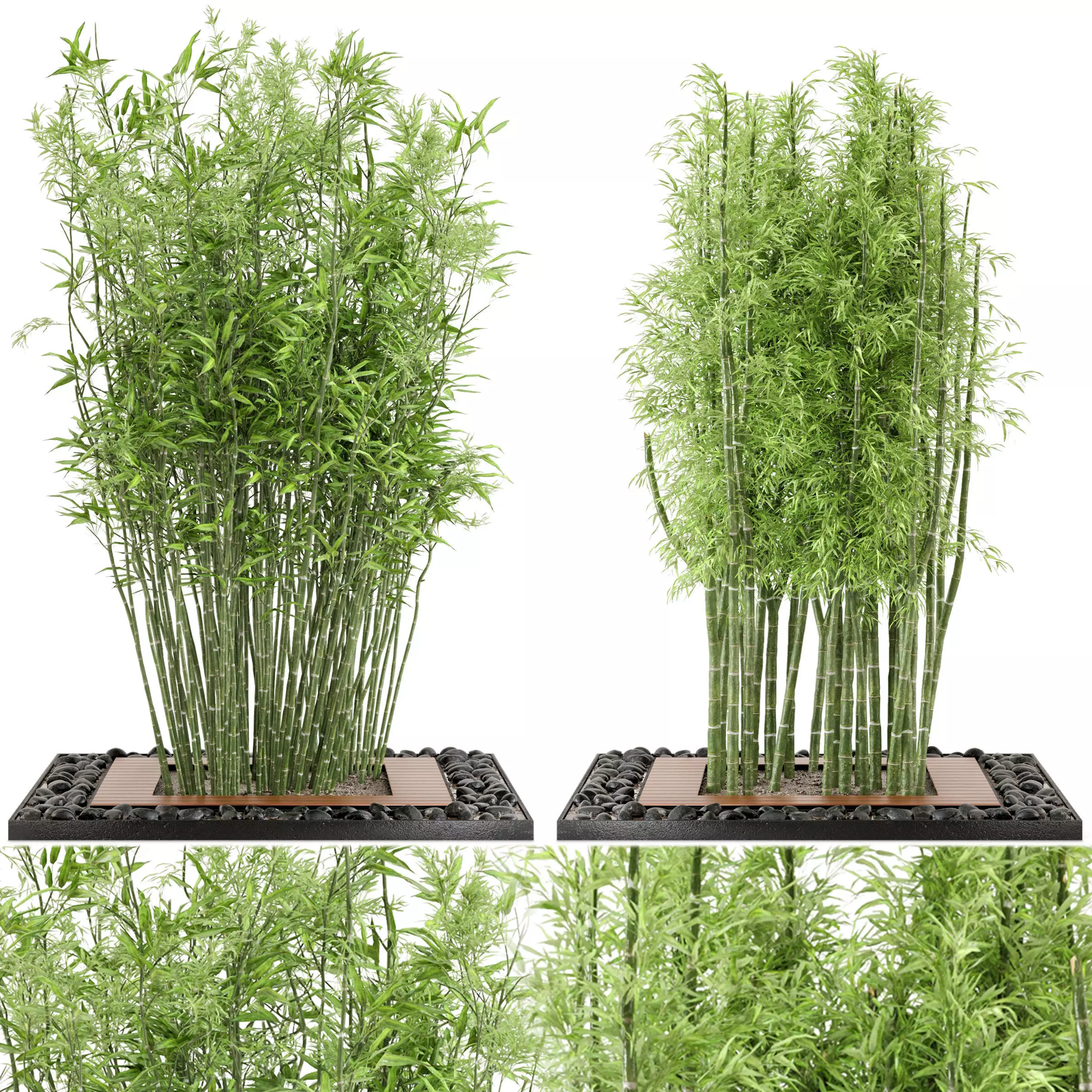 Outdoor Plants Bamboo Set Garden Set 21 3D model