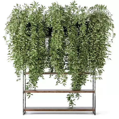 Indoor Plants in rusty Concrete Pot on Metal Shelf - Set 23 