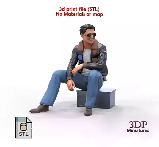 Tom Cruise Top Gun 3D print model