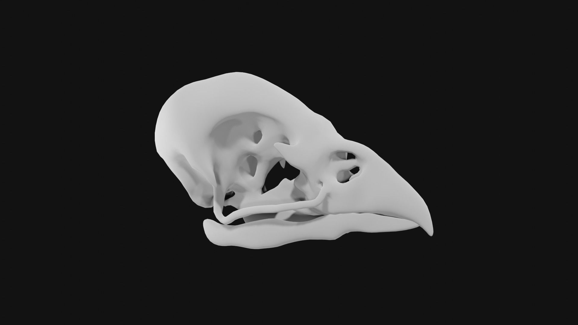 Sparrow skull 3D model_1