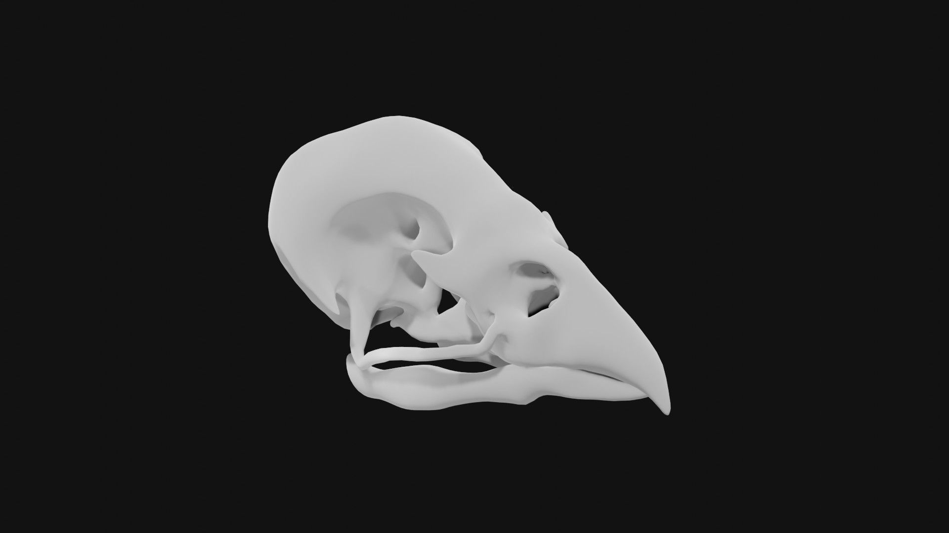 Sparrow skull 3D model_2
