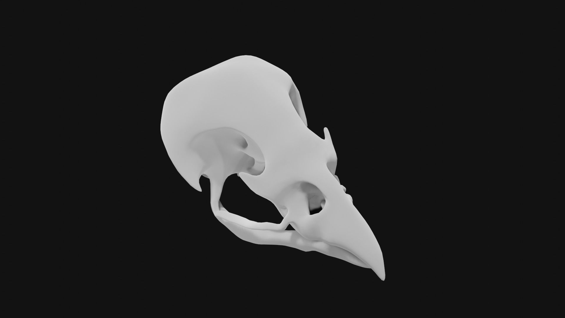 Sparrow skull 3D model_3