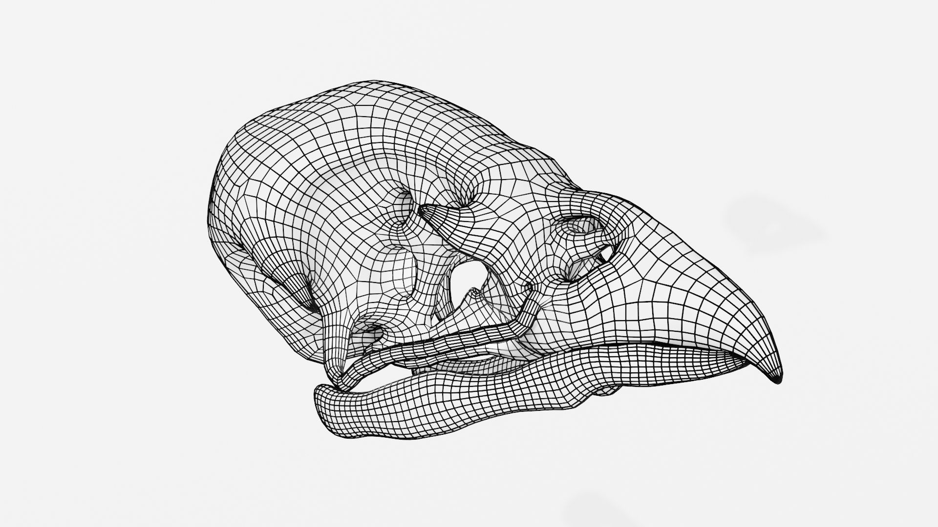 Sparrow skull 3D model_7