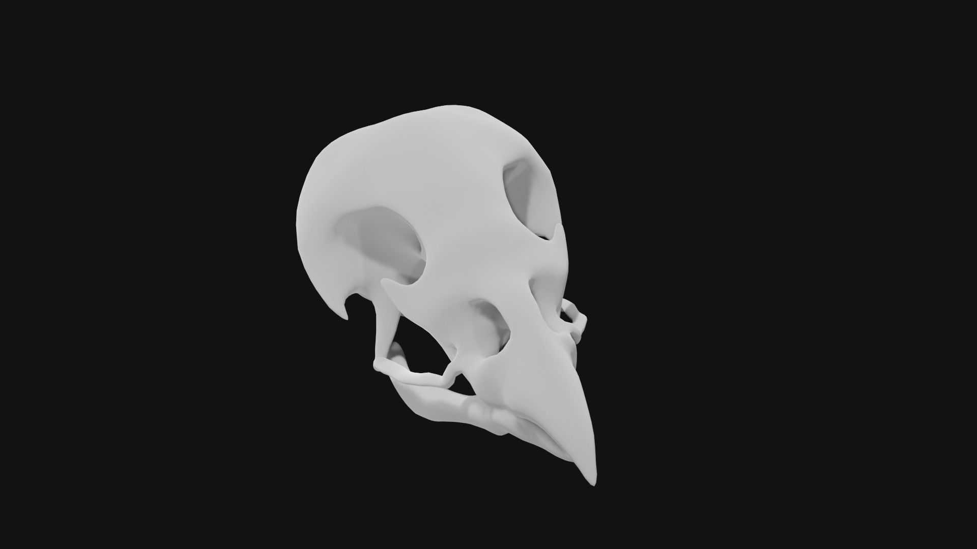 Sparrow skull 3D model_5