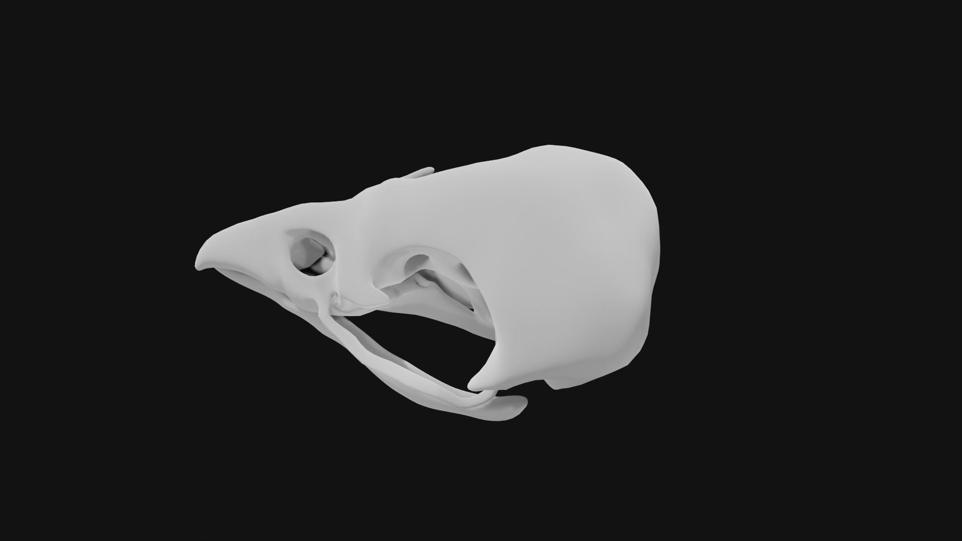 Sparrow skull 3D model_4