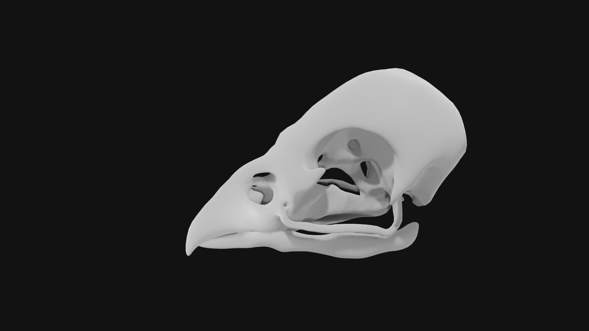 Sparrow skull 3D model_6