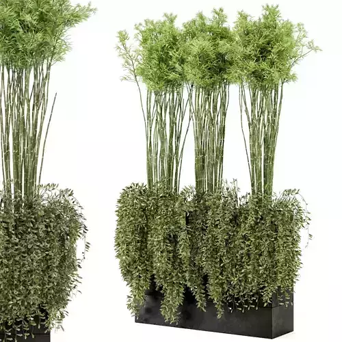 Indoor Plants Bamboo Set in rusty Concrete Pots - Set 27