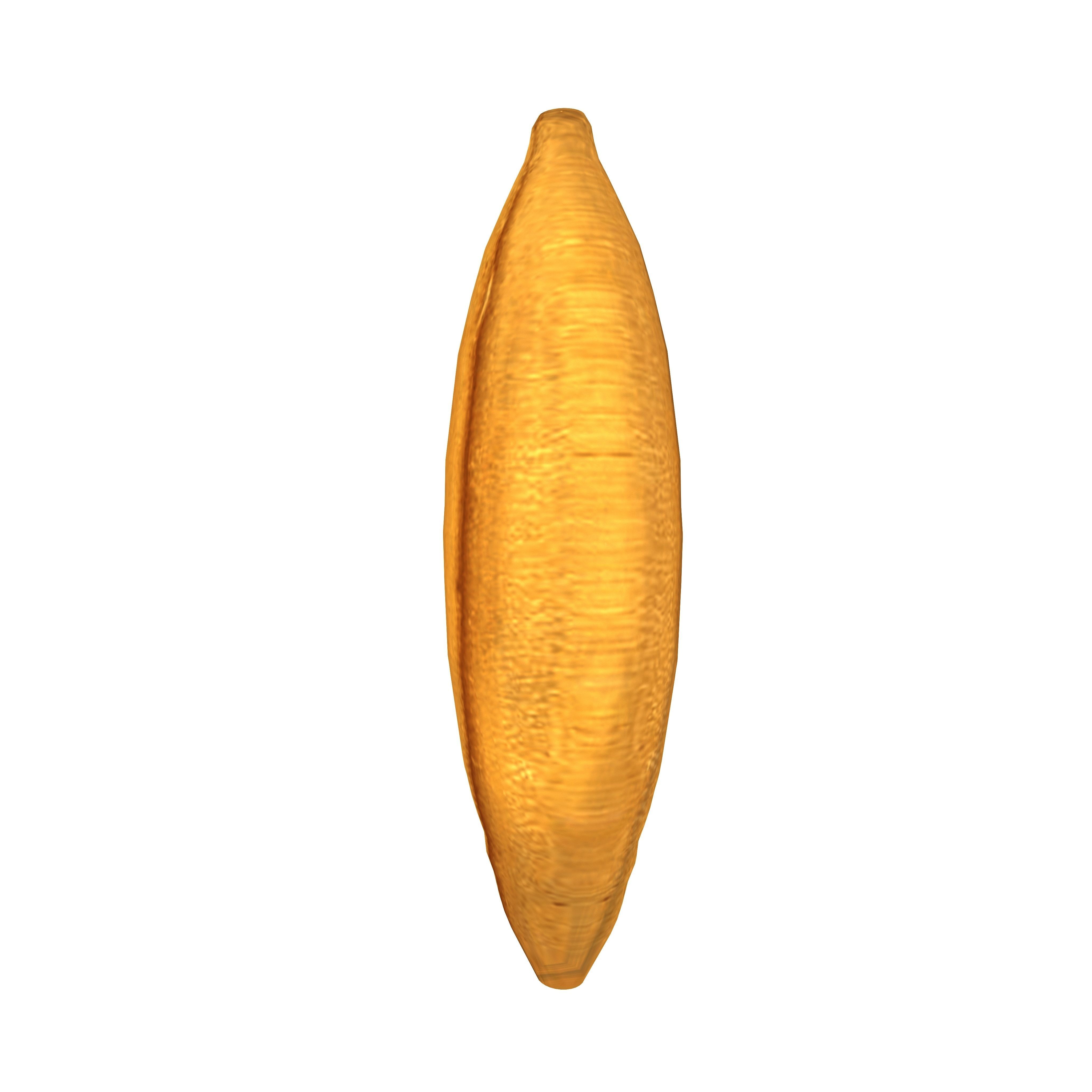 grains models 3D model_1