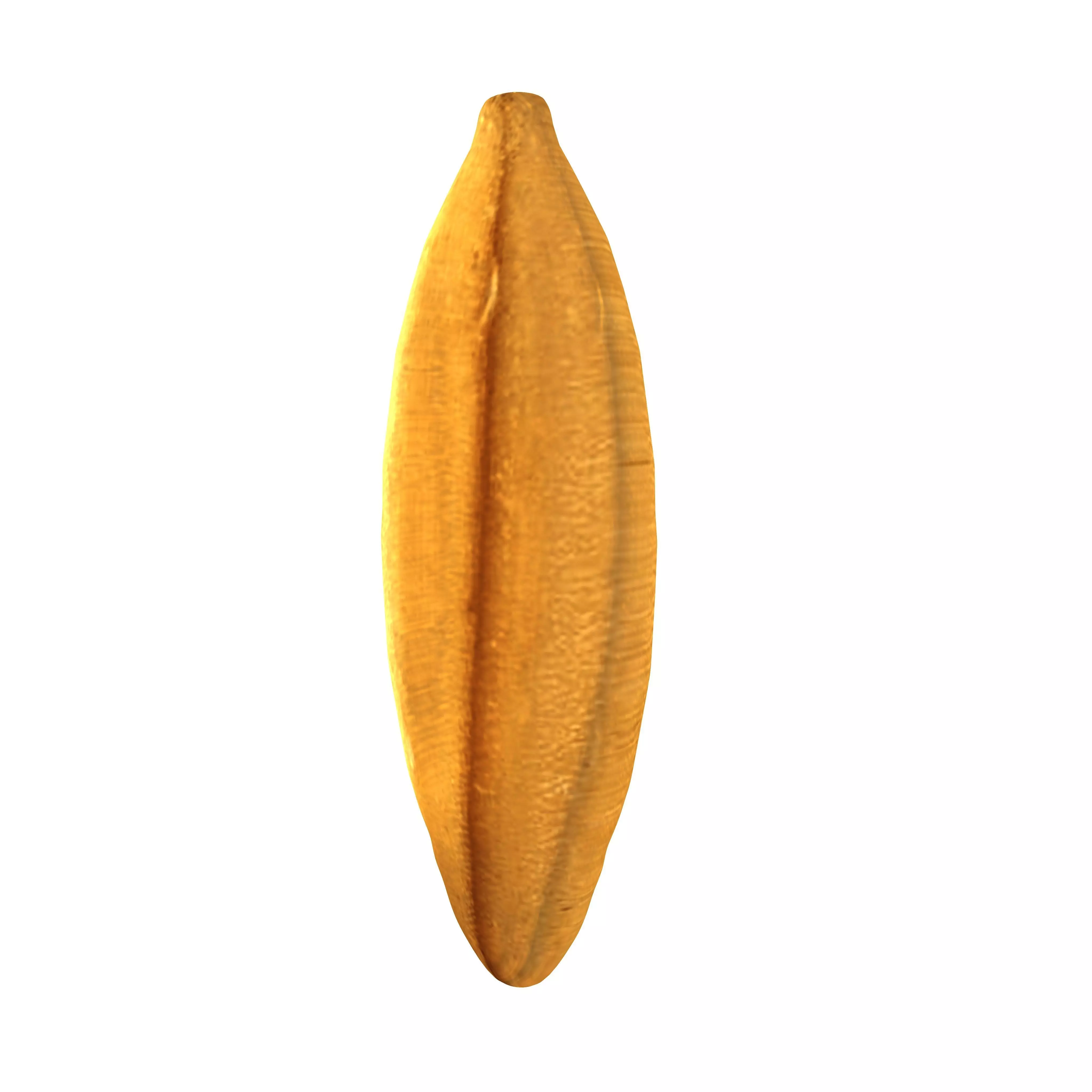grains models 3D model_0