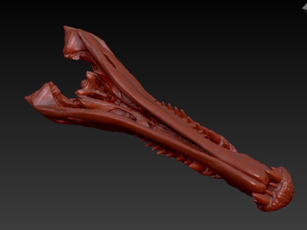 Spinosaurus skull 3D print model_2