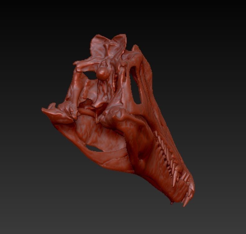Spinosaurus skull 3D print model_1
