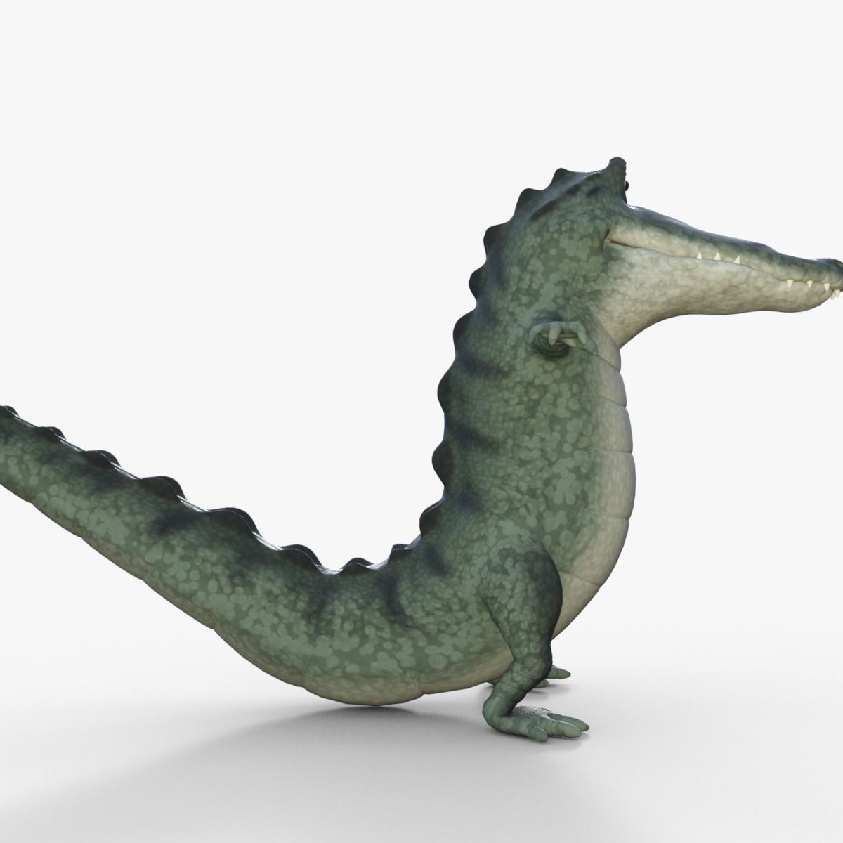 Cartoon Crocodile Rigged 3D model_18