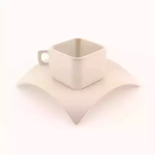 cup  and  plate  concept