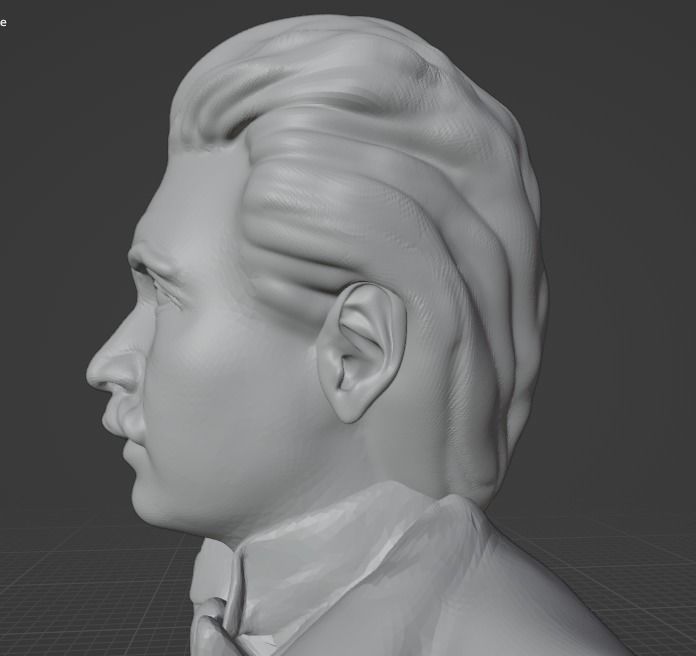 Albert Einstein 3D print model_14