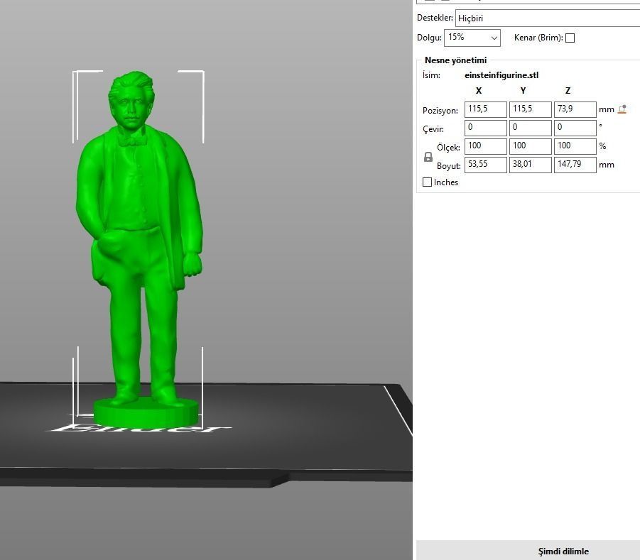 Albert Einstein 3D print model_21