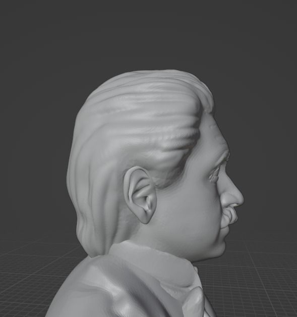 Albert Einstein 3D print model_12