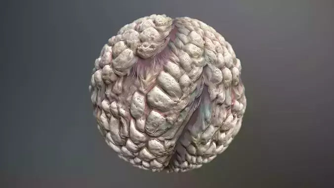 Material Skin Monster 30 Seamless PBR Texture Texture Material Skin Monster 30 Seamless PBR Texture Texture