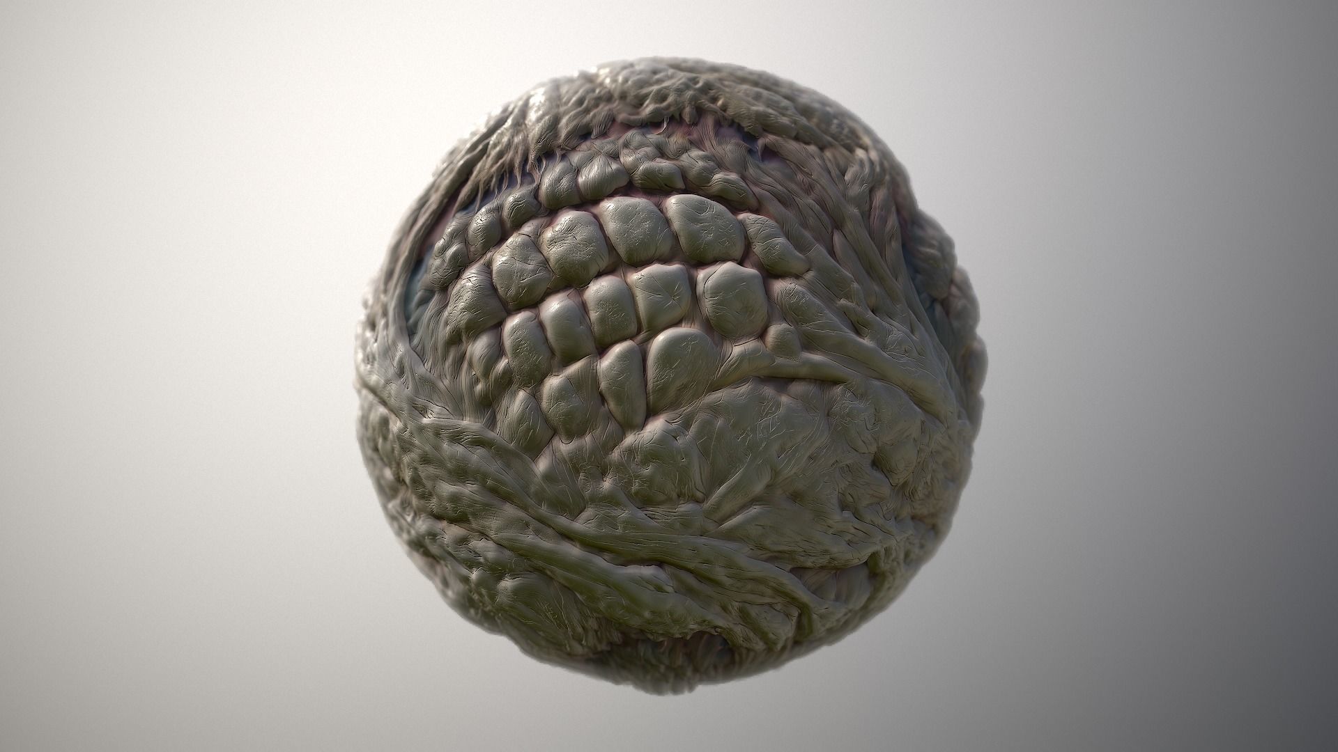 Material Skin Monster 29 Seamless PBR Texture Texture_5