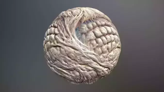 Material Skin Monster 29 Seamless PBR Texture Texture Material Skin Monster 29 Seamless PBR Texture Texture