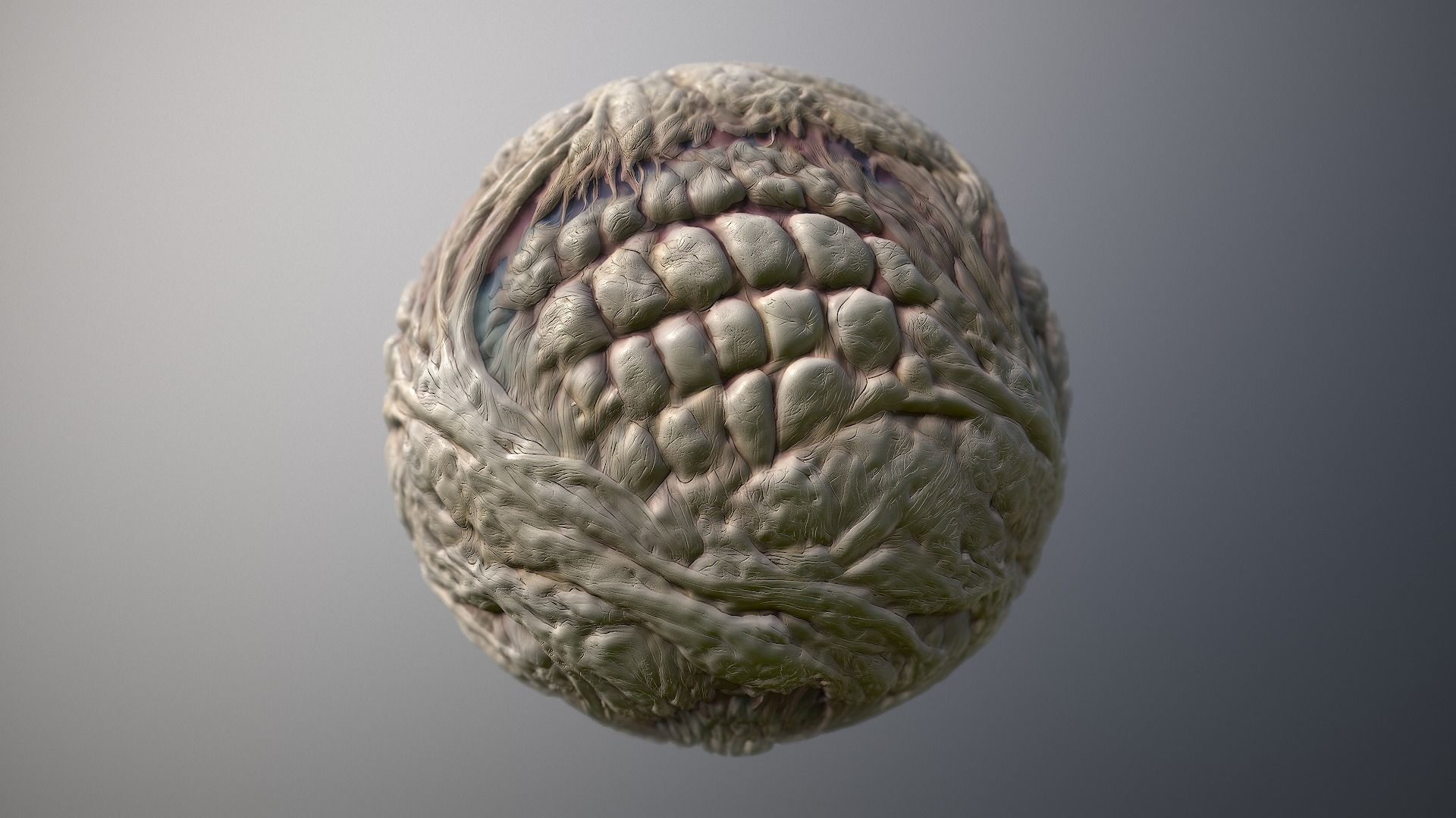Material Skin Monster 29 Seamless PBR Texture Texture_7