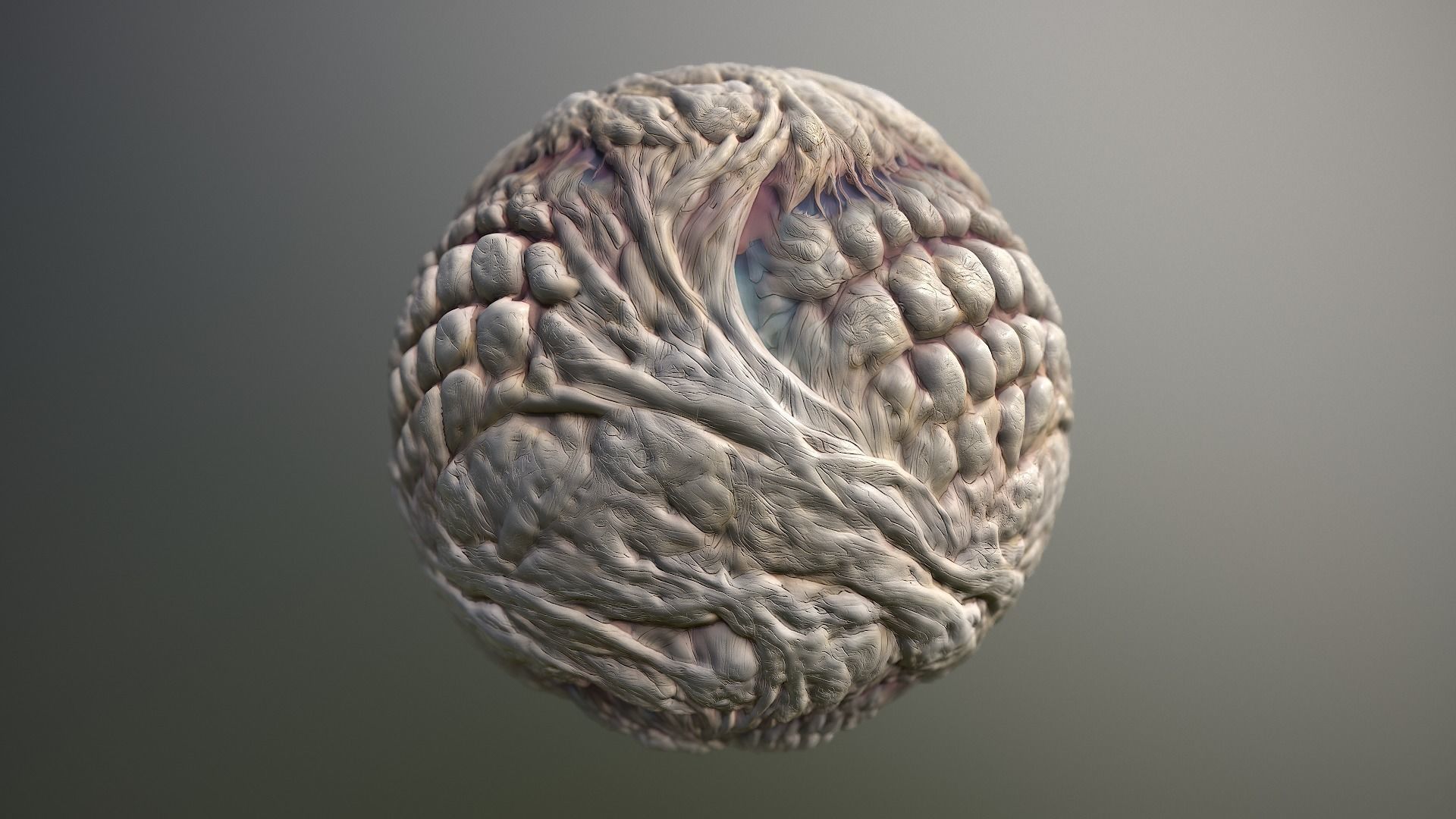 Material Skin Monster 29 Seamless PBR Texture Texture_15