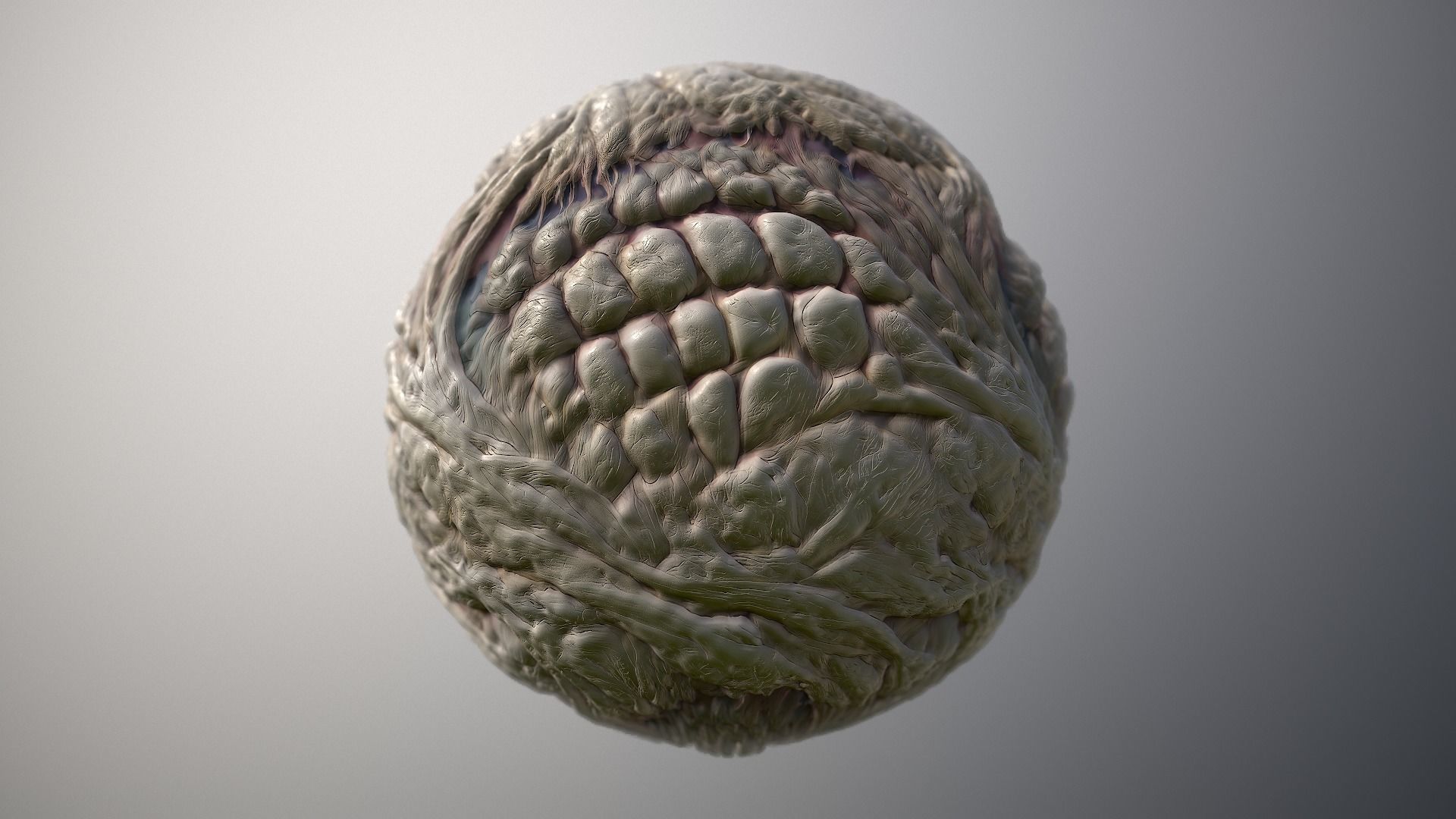 Material Skin Monster 29 Seamless PBR Texture Texture_6