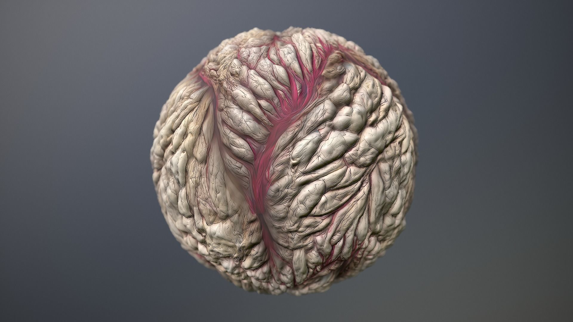 Material Skin Monster 25 Seamless PBR Texture Texture_10