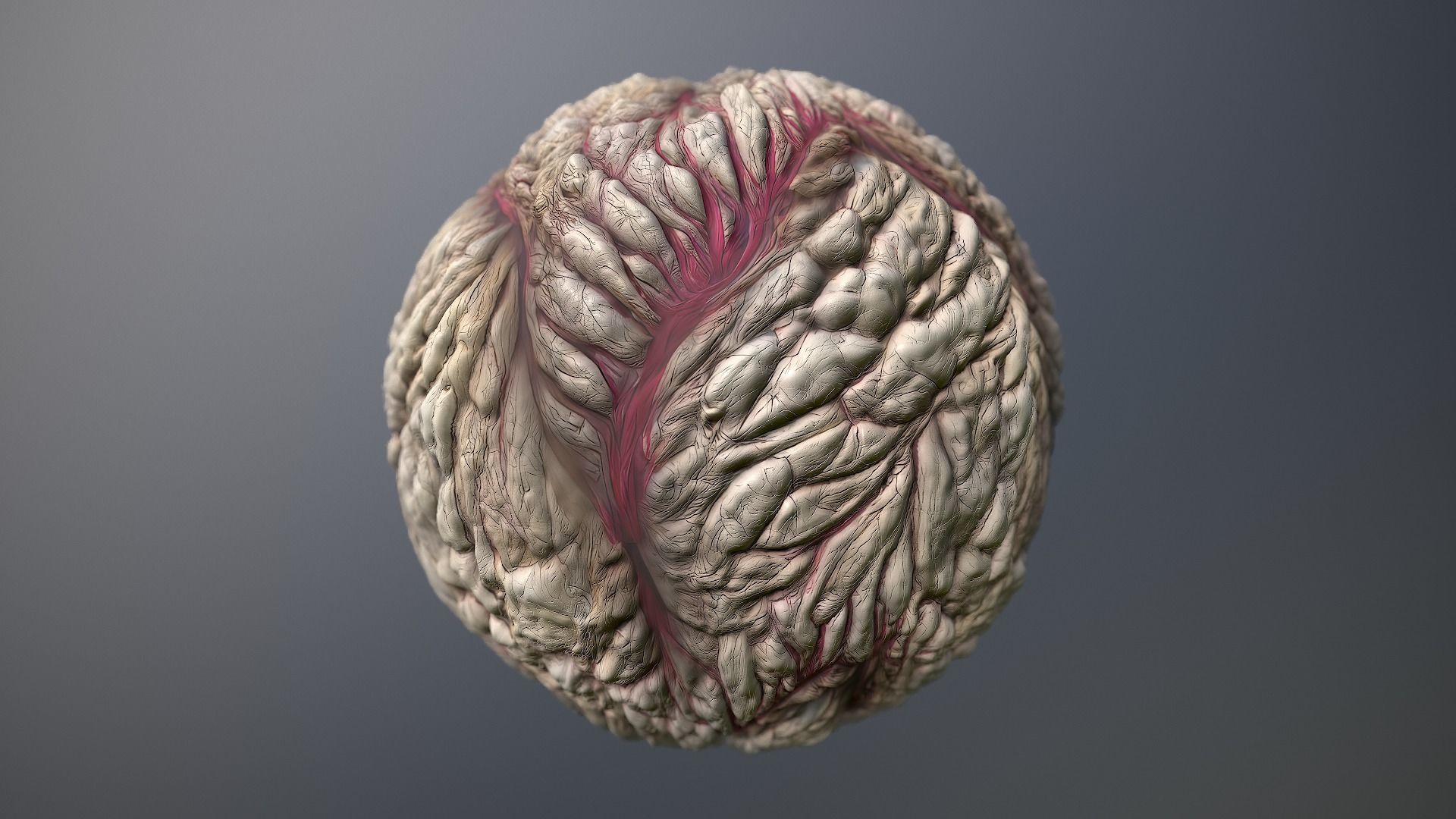 Material Skin Monster 25 Seamless PBR Texture Texture_9