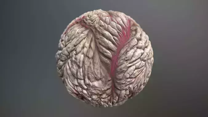 Material Skin Monster 25 Seamless PBR Texture Texture