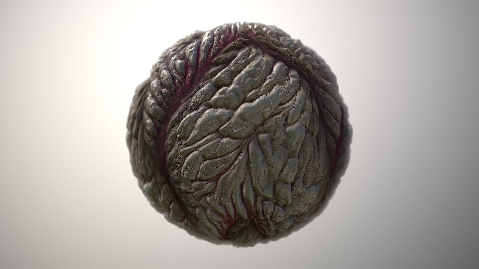 Material Skin Monster 25 Seamless PBR Texture Texture_4