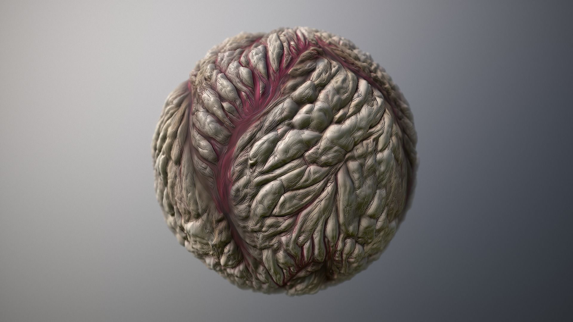 Material Skin Monster 25 Seamless PBR Texture Texture_7