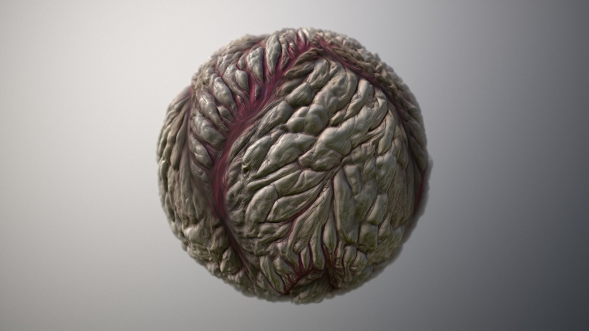 Material Skin Monster 25 Seamless PBR Texture Texture_6