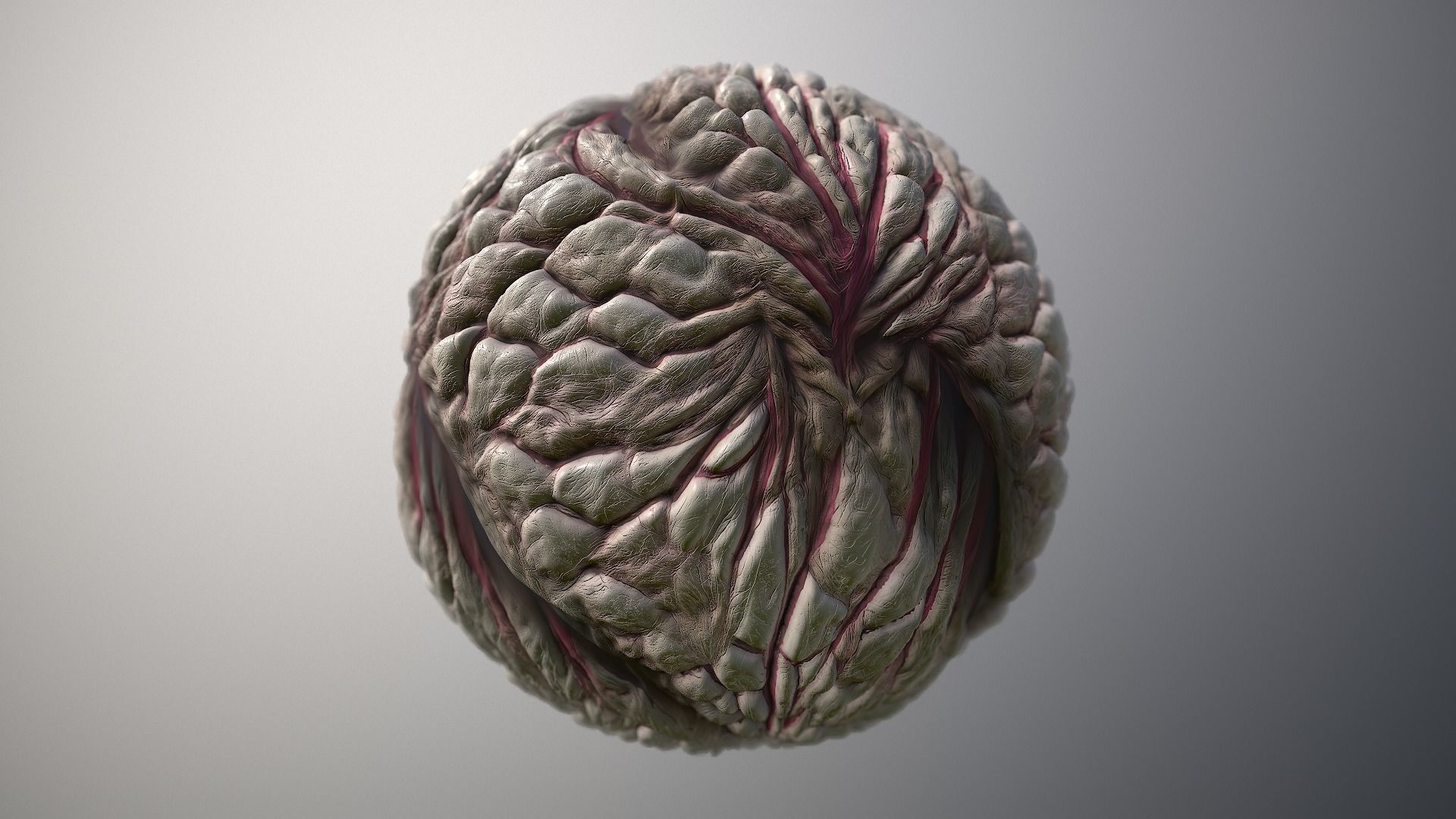 Material Skin Monster 23 Seamless PBR Texture Texture_6