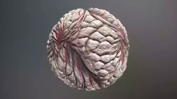 Material Skin Monster 23 Seamless PBR Texture Texture