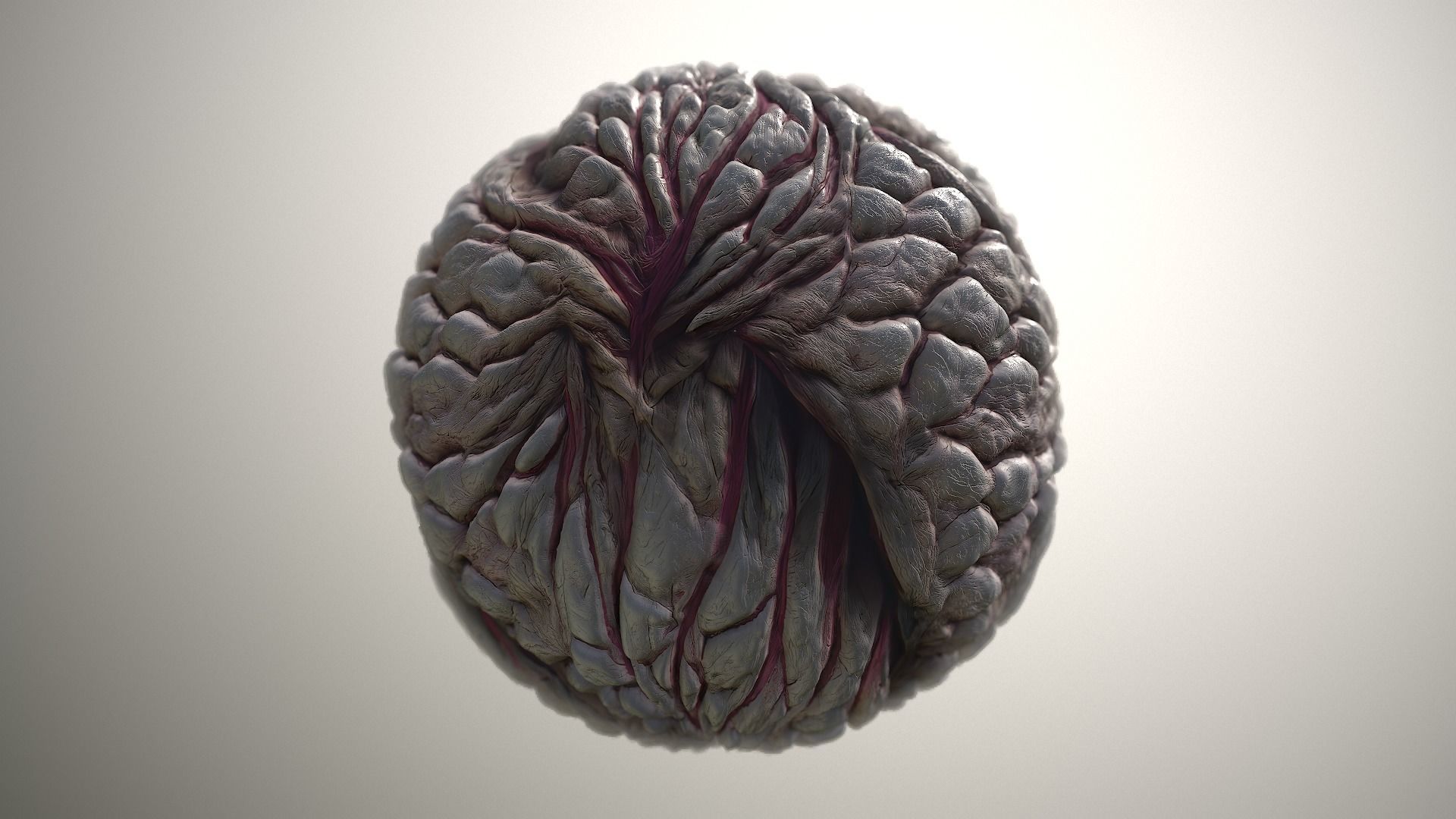 Material Skin Monster 23 Seamless PBR Texture Texture_19