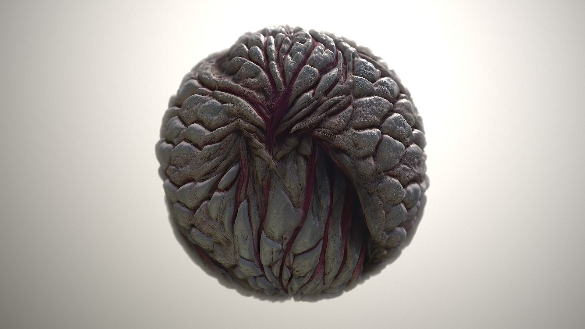 Material Skin Monster 23 Seamless PBR Texture Texture_20