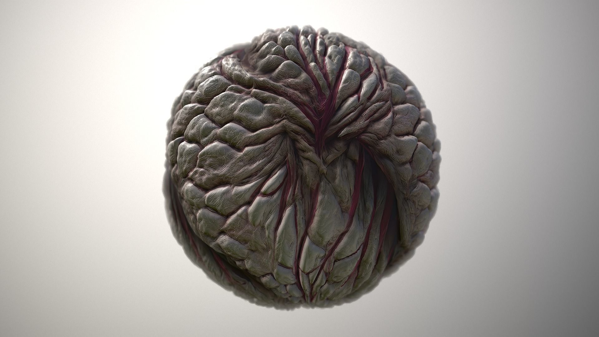 Material Skin Monster 23 Seamless PBR Texture Texture_4