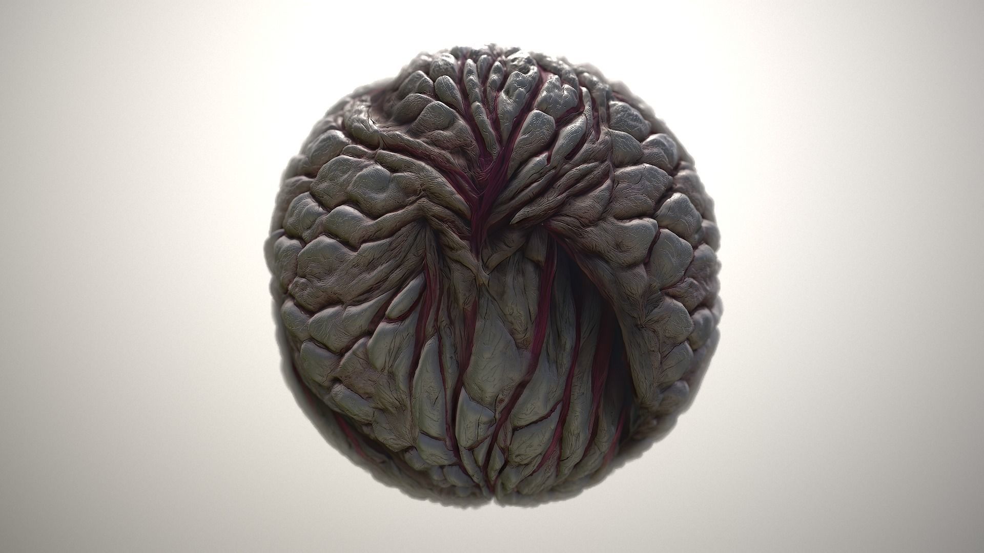 Material Skin Monster 23 Seamless PBR Texture Texture_21