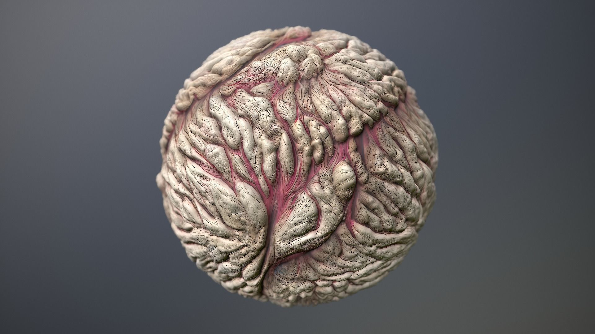 Material Skin Monster 22 Seamless PBR Texture Texture_10