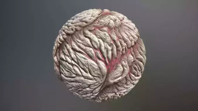 Material Skin Monster 22 Seamless PBR Texture Texture