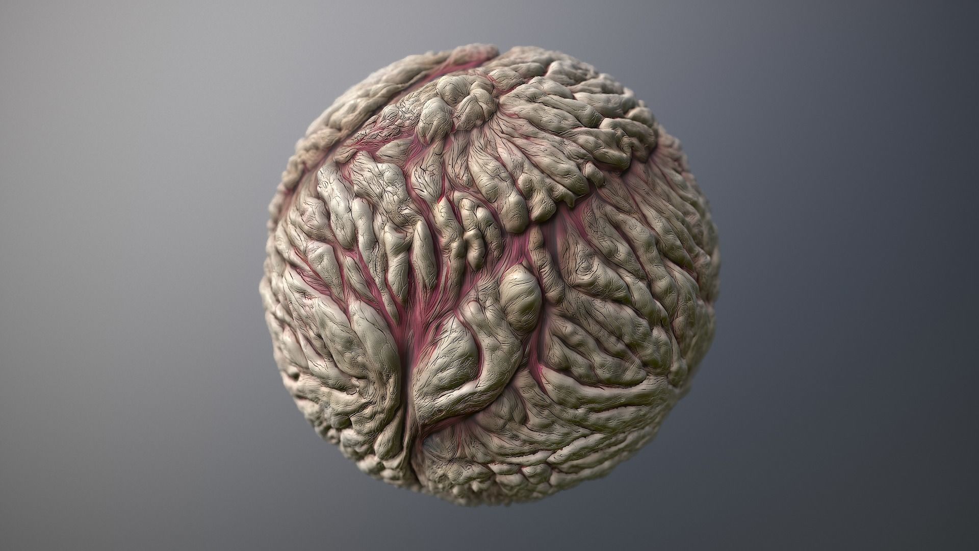 Material Skin Monster 22 Seamless PBR Texture Texture_8