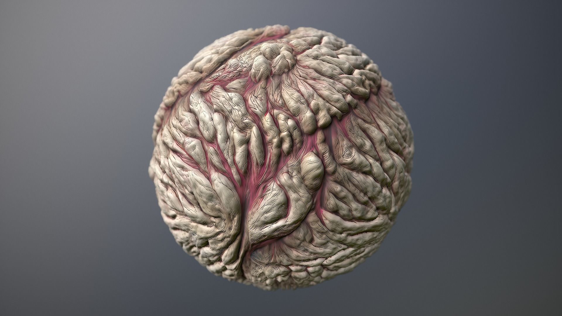 Material Skin Monster 22 Seamless PBR Texture Texture_9