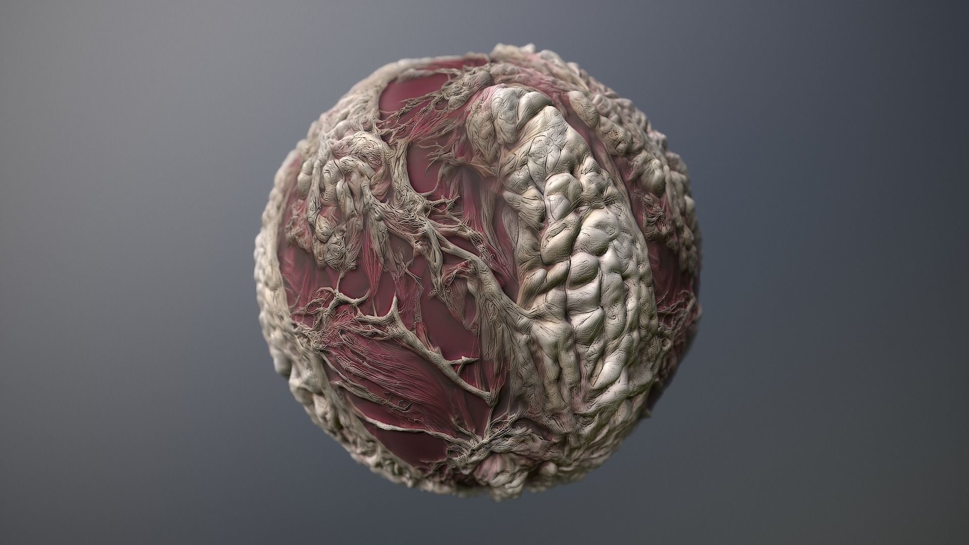 Material Skin Monster 21 Seamless PBR Texture Texture_9