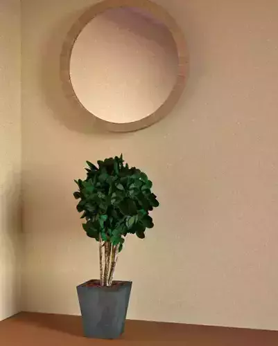plant  tree and Mirror