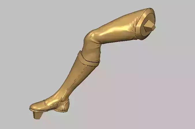 R leg gold with heel