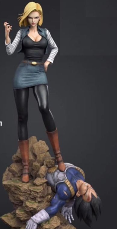 Dragon Ball Z - Android 18 and Vegeta 3D Model 3D print model_3
