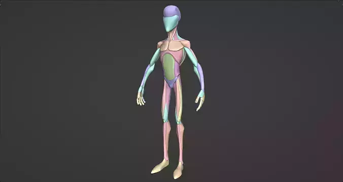 Stylized Thin Man Anatomy Blockout