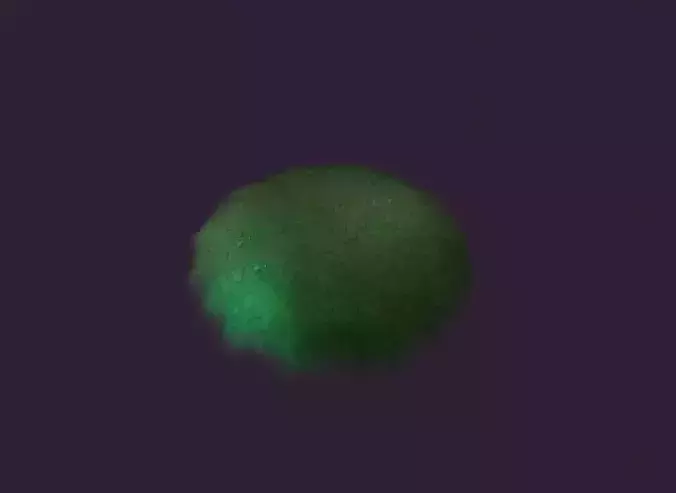 Stylized Grass Terrain 3D Model