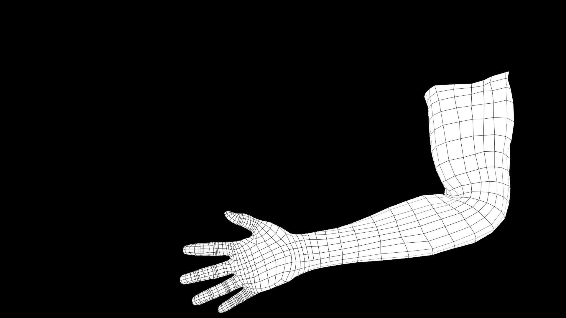 Hands Rigged 3D model_9