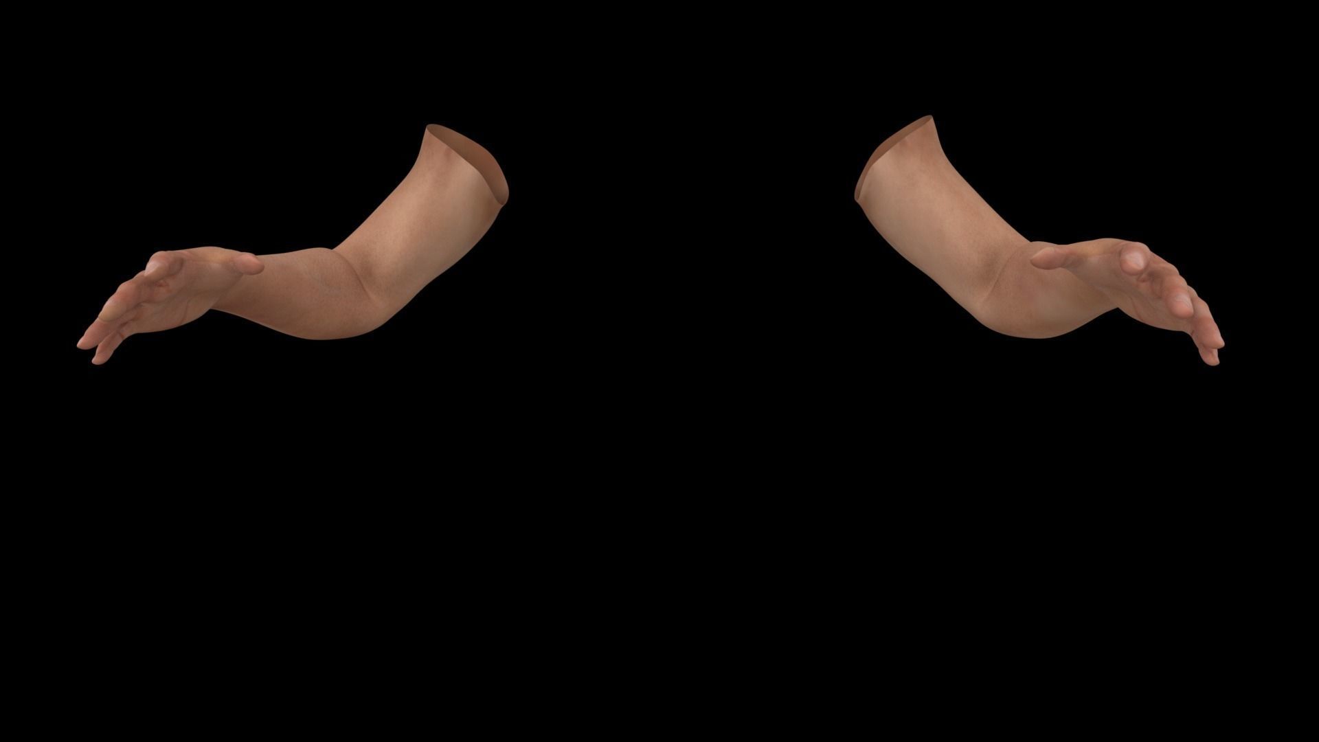 Hands Rigged 3D model_2